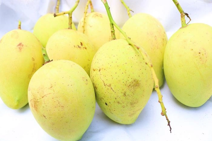 Đi mua xoài chín thấy 3 dấu hiệu này tốt nhất nên tránh xa kẻo phí tiền - 1