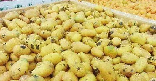 Đi mua xoài chín thấy 3 dấu hiệu này tốt nhất nên tránh xa kẻo phí tiền - 2