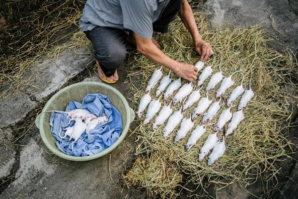 Được ăn món kinh dị của việt nam phản ứng của phóng viên mỹ khiến ai cũng bất ngờ - 2