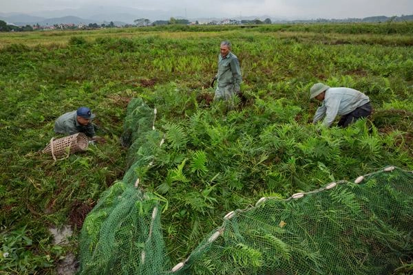 Được ăn món kinh dị của việt nam phản ứng của phóng viên mỹ khiến ai cũng bất ngờ - 4