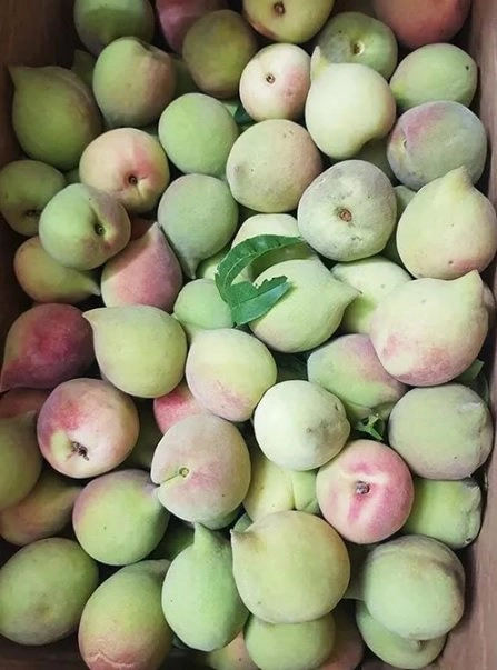 Hãy cẩn trọng khi mua hoa quả có những dấu hiệu này - 1