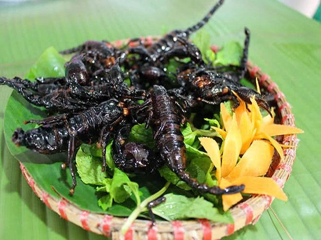 Hồng vân hốt hoảng khi thấy chồng ngấu nghiến ăn món kinh dị bậc nhất thế giới - 5