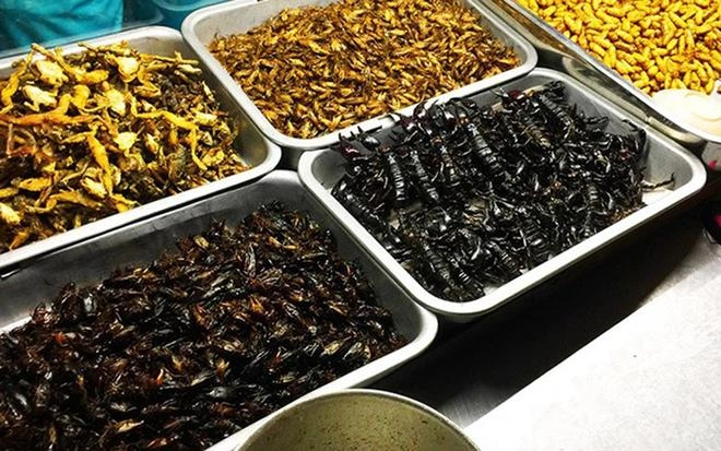 Hồng vân hốt hoảng khi thấy chồng ngấu nghiến ăn món kinh dị bậc nhất thế giới - 8