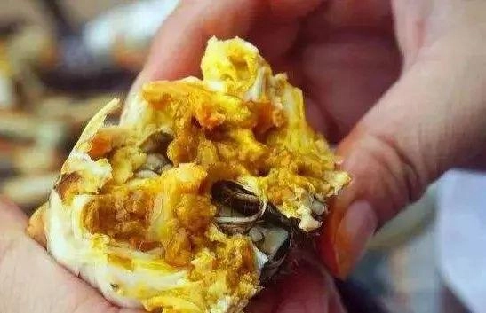 Khi hấp cua đặt cua ngửa hay úp bụng nhiều người làm sai nên món ăn mất ngon - 4
