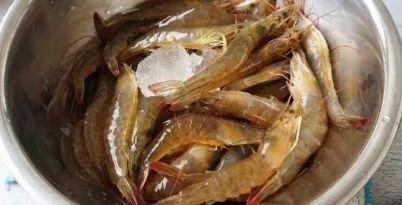 Không bảo quản tôm trực tiếp trong tủ lạnh thêm một bước này tôm để tươi được cả năm - 1