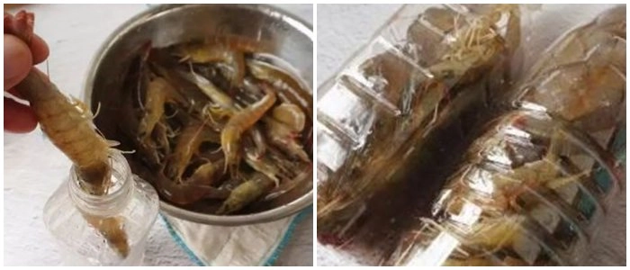Không bảo quản tôm trực tiếp trong tủ lạnh thêm một bước này tôm để tươi được cả năm - 2