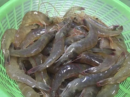 Làm tôm chiên ngon kiểu này cả nhà ăn cả thịt lẫn vỏ không muốn bỏ thứ gì - 2