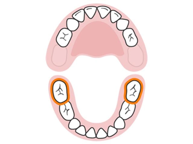 Lịch mọc răng ở trẻ - không theo trình tự như nhiều mẹ vẫn tưởng - 10