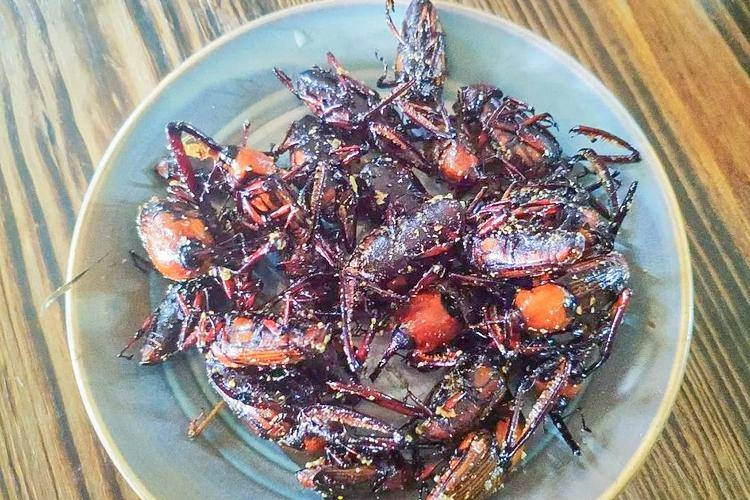 Loại bọ chuyên ăn tre trẻ em tq thường đi vào rừng bắt về xào - 4