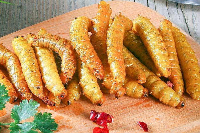 Loài sâu béo được người tq nghiền ra ăn như thịt khiến ai cũng hãi hùng - 5
