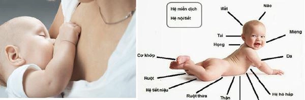 Lợi ích của nuôi con bằng sữa mẹ và bí quyết hay cho mẹ - 1