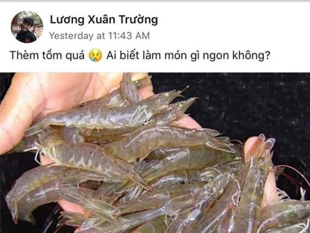 Luộc tôm chỉ vì quên điều này tôm bị dai khô không ngon - 4