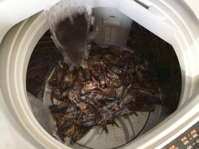 Những màn luộc dồi toang thực sự của hội chị em phải ở nhà tránh dịch nhưng ghét bếp - 13
