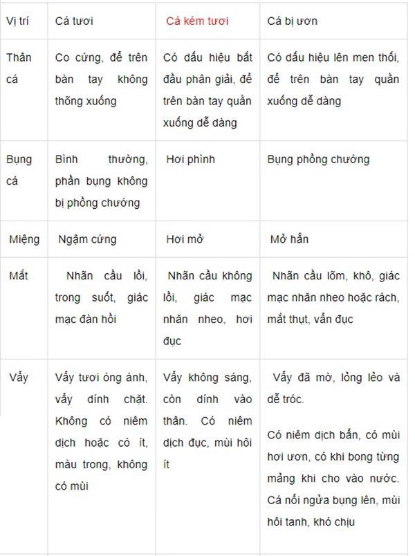 Muốn chọn cá tươi ngon chỉ cần nhìn 6 điểm này - 2