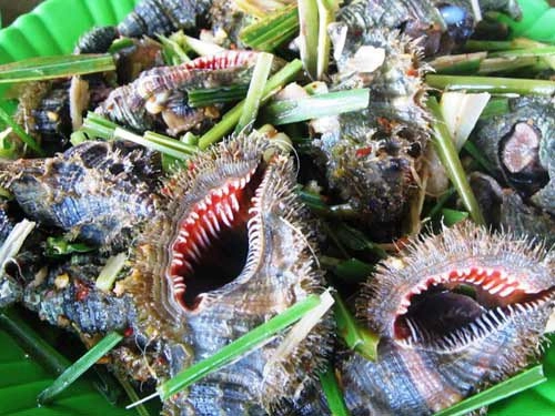 Ngộ độc ốc biển mùa du lịch ăn ốc thế nào để phòng tránh - 2
