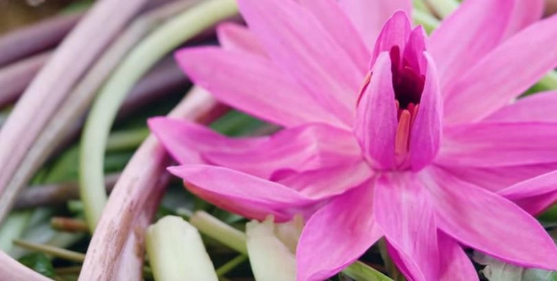 Nhã phương khoe lấy được chồng tốt biết nấu ăn sự thực tài bếp núc của trường giang thế nào - 12