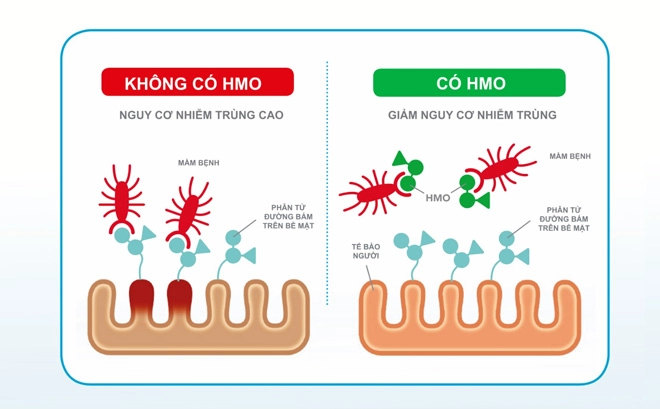 Những nguyên nhân gây táo bón ở trẻ mà mẹ không ngờ - 4