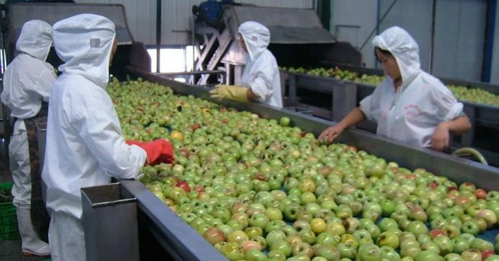 Những thực phẩm bạn dễ bị mua giả mỗi ngày mà không hề hay biết - 3
