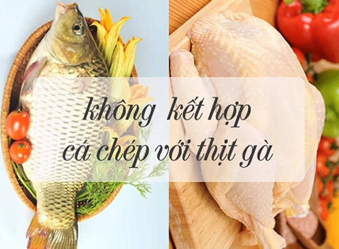 Những thực phẩm kỵ thịt gà chị em nội trợ nấu chung sẽ rước bệnh cho cả nhà - 2