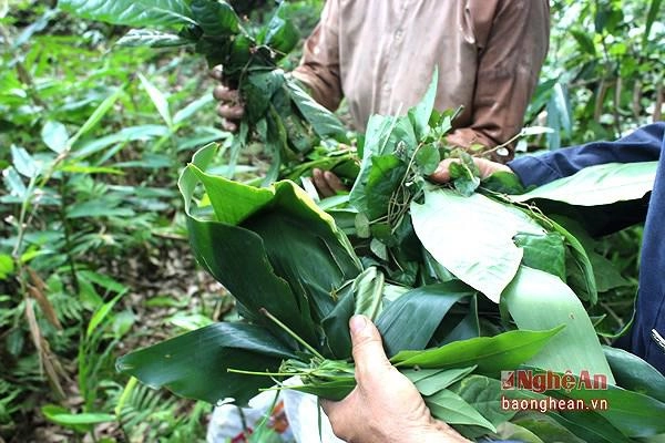 Những tục lệ trong tết đoan ngọ mùng 55 cần chú ý để trừ rủi ro nhận may mắn - 3