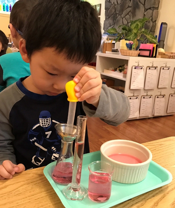 Phương pháp montessori dạy trẻ 2-6 tuổi biết làm mọi việc từ rất sớm - 4