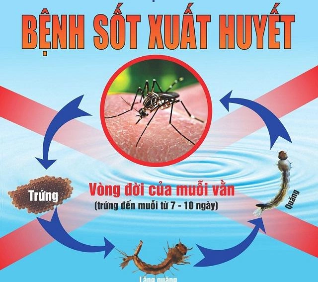 Sốt xuất huyết ở trẻ em 5 triệu chứng phổ biến không được bỏ qua - 2