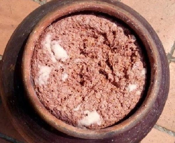 Thịt chưng mắm tép thơm ngon đậm đà với cách làm đơn đản - 3