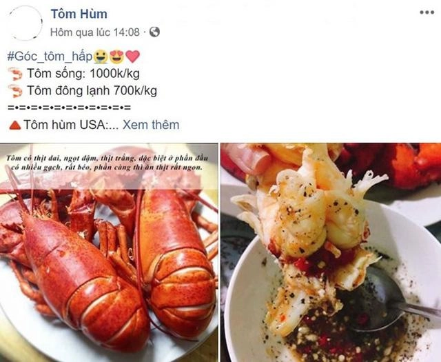 Tôm hùm mỹ bay nửa vòng trái đất về việt nam được bán rẻ như gà vịt - 3