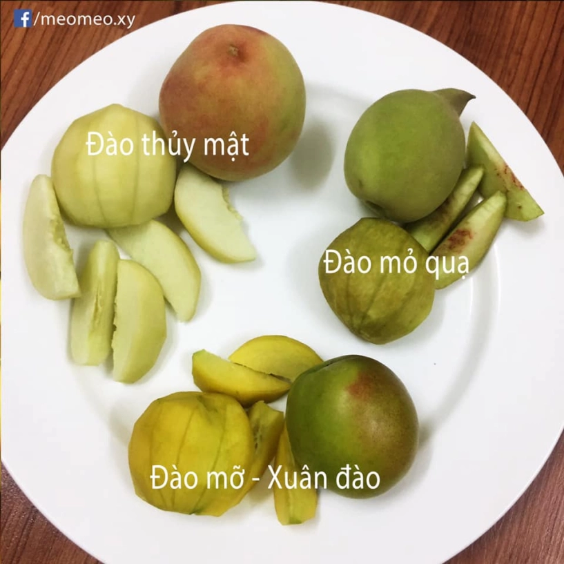 Tranh thủ cuối mùa 9x mách cách ngâm đào từ a - z khiến chị em phát sốt - 2