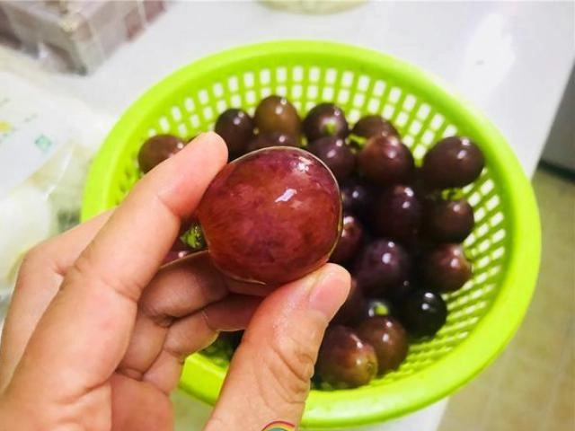 Tự làm túi hút chân không nhanh trong vòng một nốt nhạc để bảo quản thịt cá tươi lâu - 7