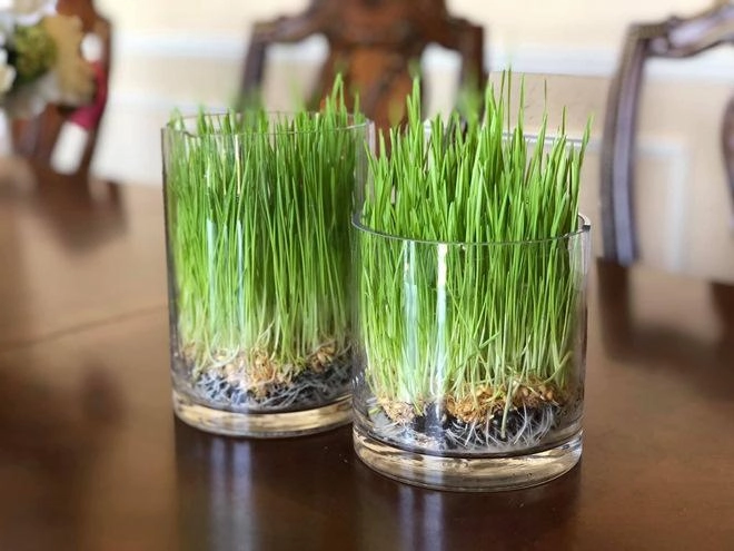 Vào bếp làm bánh nấu ăn cho 3 con mẹ đảm hồng ngọc gây xúc động vì câu nói này - 10