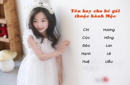 Con sinh năm đinh dậu 2017 nên đặt tên gì để hợp với phong thủy - 2