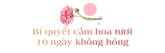 Mẹ hà nội nhặt đồng nát về cắm hoa không mất 1 xu mà sang chảnh hút hồn - 9