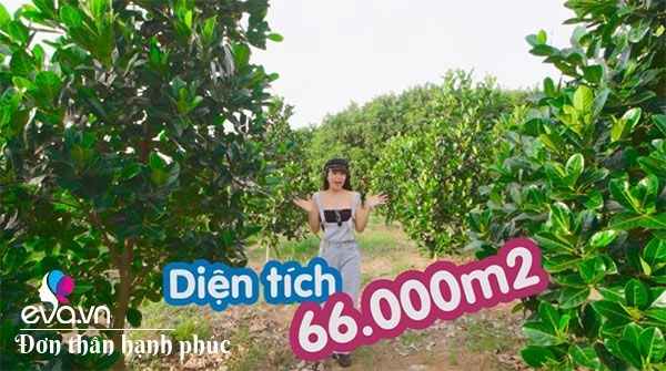 Một thời tay trắng làm mẹ đơn thân chân dài 9x trà ngọc hằng chi 15 tỷ mua 66000m2 đất - 3