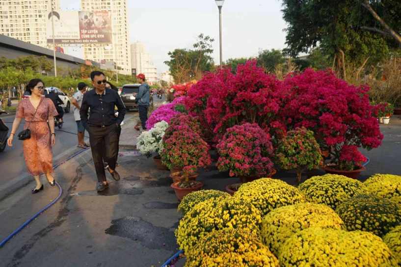 Những loại hoa tết người sài gòn thường mua để mang lại tài lộc may mắn cả năm - 1