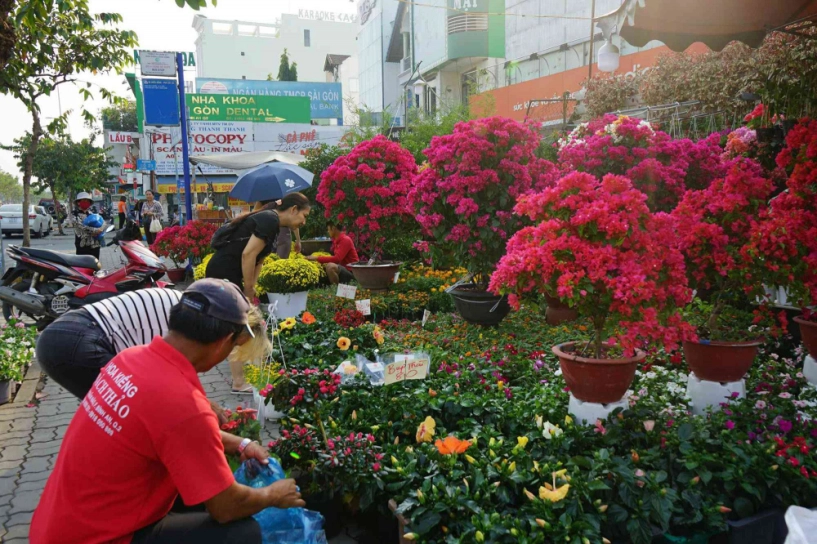 Những loại hoa tết người sài gòn thường mua để mang lại tài lộc may mắn cả năm - 5