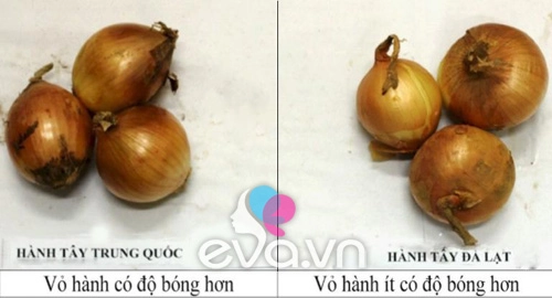 Phân biệt rau củ ta và tq cho con ăn dặm - 3