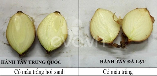 Phân biệt rau củ ta và tq cho con ăn dặm - 4