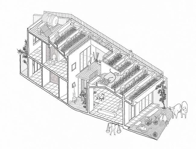 Vườn rau 7 bậc thang trên mái nhà ở quảng ngãi lên báo mỹ - 7