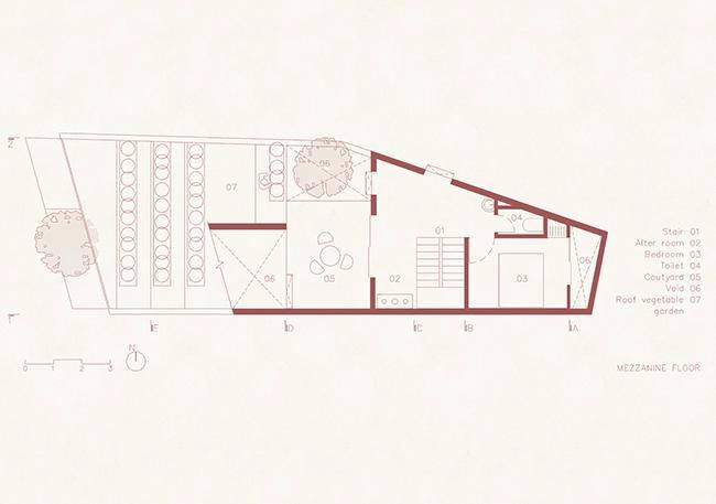 Vườn rau 7 bậc thang trên mái nhà ở quảng ngãi lên báo mỹ - 19