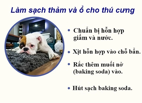 12 mẹo đánh bật mọi vết bẩn trong nhà cực hay mà chị em nào cũng nên biết - 4