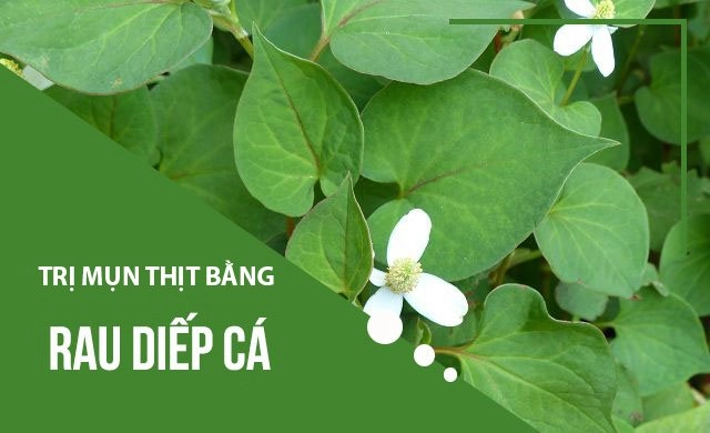 15 cách trị mụn thịt tận gốc quanh mắt và vùng cổ tại nhà an toàn hiệu quả nhất - 10