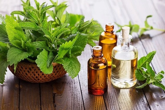 15 cách trị mụn thịt tận gốc quanh mắt và vùng cổ tại nhà an toàn hiệu quả nhất - 14