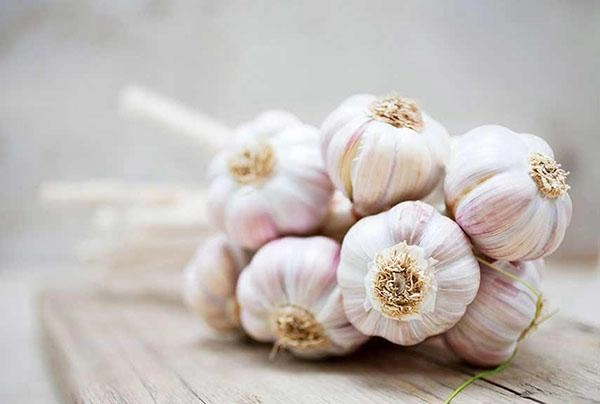 8 cách trị mụn trứng cá tại nhà bằng thiên nhiên hiệu quả - 5
