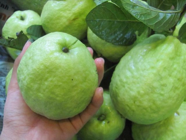 Ăn càng nhiều ổi cân nặng càng giảm chỉ cần bạn làm theo công thức này - 1