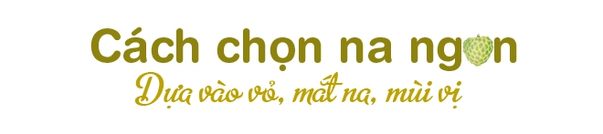 Bỏ túi cách chọn na chín ngon ngọt không có giòi khi vào mùa - 2