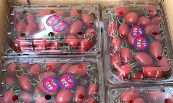 Cà chua hoàng gia nhật 16 triệukg nhà giàu việt vẫn vét túi mua khi ăn thử thì ngỡ ngàng - 5