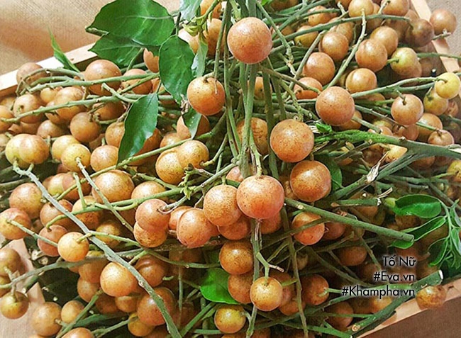 Cách làm mứt hồng bì dẻo thơm nhâm nhi cả ngày không chán - 1