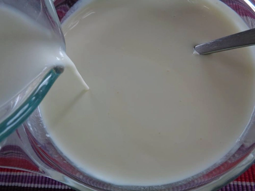 Cách làm sữa chua dẻo đơn giản cho chị em - 6