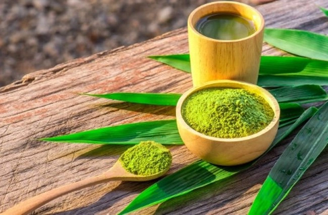 Cho mèo cưng liếm mặt để trị mụn cô gái trẻ nhận nhiều gạch đá - 6
